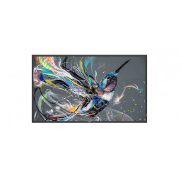 MONITOR 32 SERIE Q-LINE