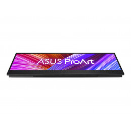 DISPLAY PROART 14 FULL HD IPS