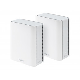 BT10W-2-PK
