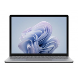 Laptop6 i5 16GB 256GB 13 Plat