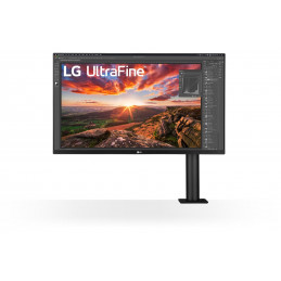 Monitor Profesional LG...