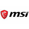 MSI